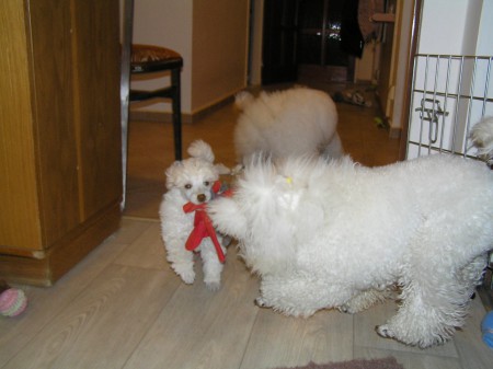 ...a taky sebrat Demískovi hračku...